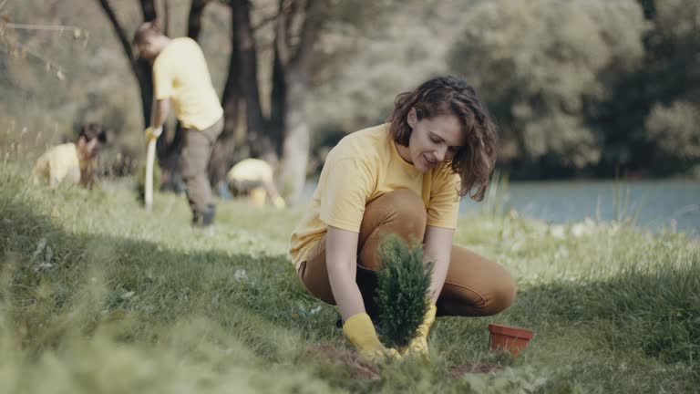 Best Pest Control for Lawns  in Martindale, TX