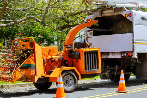 Best Aeration Services  in Martindale, TX